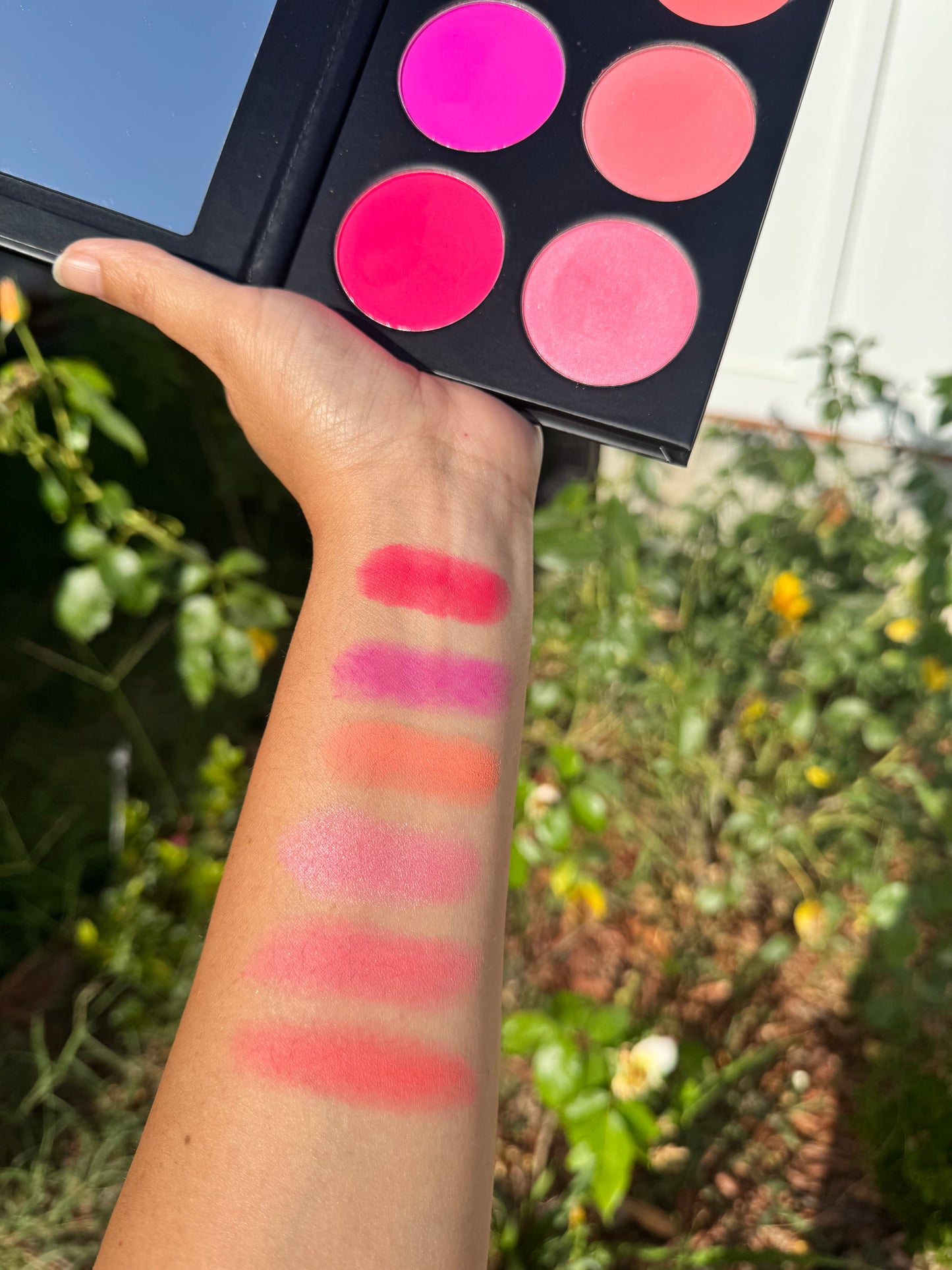 6 color Blush Baby Palette